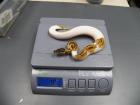 0. 1 Pastel Pied weiblich 75 Weiß