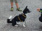 Lena 3 Jahre sucht Traumzuhause