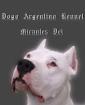 Suchen wir Dogo Argentino Dogo Alano/Canario Bullterier oder Cane Corso Platz vo