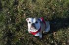 Coco sucht ihre Familie
