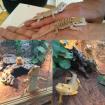 2x Terrarium 2x Bartagame viel Zubehör