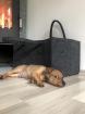 Zwergpinscher Rehpinscher Welpe