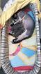 Elf/ Sphynx Kitten
