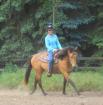 Quarterhorse Stute in traumfarbe und super cool