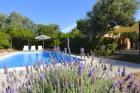 Finca Urlaub mit sehr guten Preis-Leistungsverhältnis mieten Finca Ferienhaus m