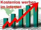 Internet-Shop Geld verdienen