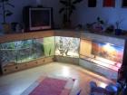 Terrarienbau nach Maß günstiger als Gebraucht
