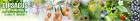 Naturprodukte online von DIPSACUS-NATURPRODUKTE. de