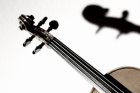GEIGENUNTERRICHT VIOLINUNTERRICHT IN DÜSSELDORF