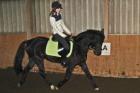 Verkaufe mein Pony 7j 1 47 dringend
