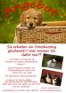 Ihre Chance ein Fotoshooting geschenkt zu bekommen
