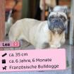 Lea - total lieb und sozial freiatmend